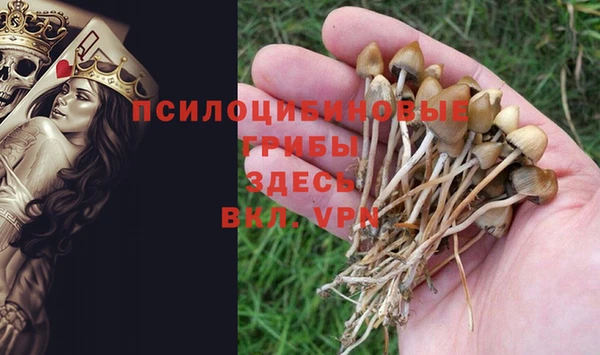 спиды Сафоново