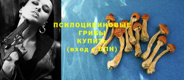 mdpv Алзамай