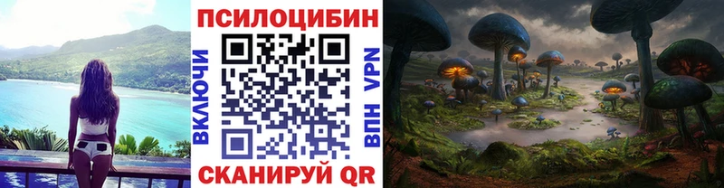 ОМГ ОМГ ССЫЛКА  Данилов  Псилоцибиновые грибы ЛСД 